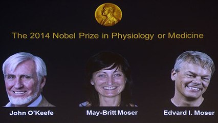 Le Prix Nobel de Médecine 2014 récompense les découvreurs de notre "GPS interne"