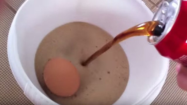 Er lässt ein Ei im Cola für ein Jahr! Das Ergebnis ist beeindruckend!