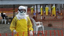 Ebola : l'origine de l'épidémie la plus meurtrière enfin identifiée ?