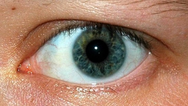 Des greffes de cellules souches prometteuses contre la cécité