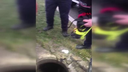İSTANBUL-AVCILAR'DA RÖGARDA MAHSUR KALAN KÖPEĞİ İTFAİYE KURTARDI