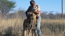 Une longue histoire d’amitié entre un homme et un lion