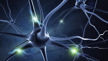 Un nouveau trouble de la mémoire semblable à Alzheimer identifié chez des patients