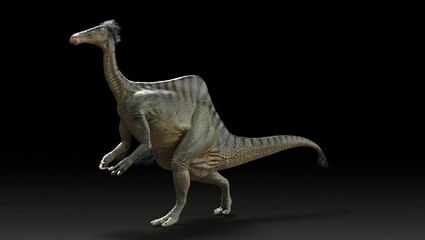 Deinocheirus, un mystérieux dinosaure dévoile sa véritable identité