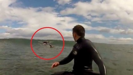 Zwei Surfer bekommen unerwarteten Besuch, der auch Spaß haben will