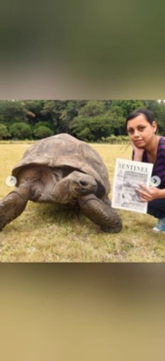 A 190 ans, Jonathan la tortue géante bat le record du plus vieil animal terrestre vivant