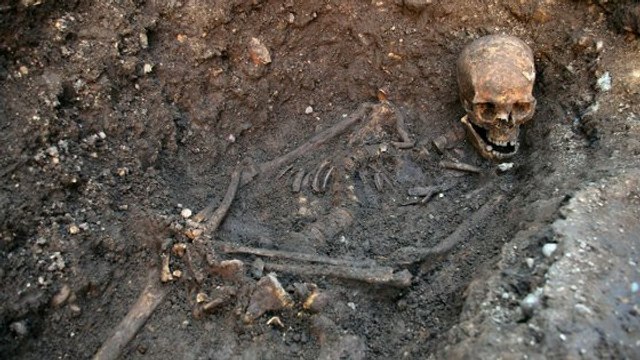 Richard III : l'analyse ADN confirme son identité mais révèle une infidélité royale