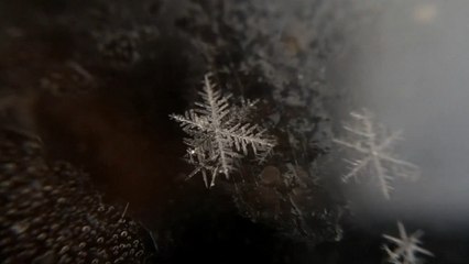 Observez la naissance d'un flocon de neige