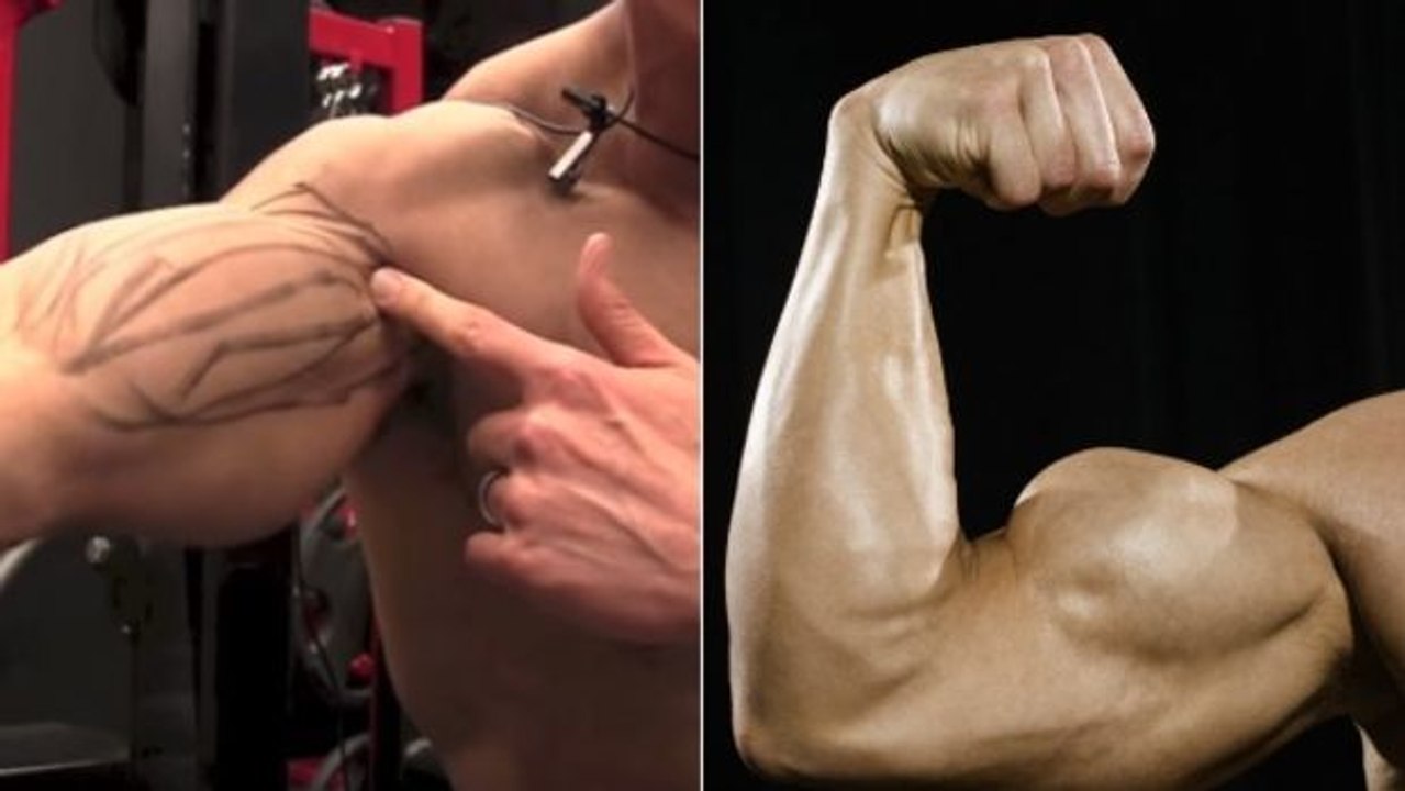 Bizeps: So dehnt ihr ihn richtig