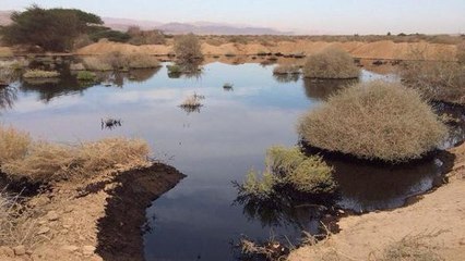 Une terrible marée noire pollue une réserve d'Israël après la rupture d'un oléoduc