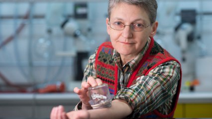 Punaises de lit : une scientifique se laisse mordre 180 000 fois pour une étude