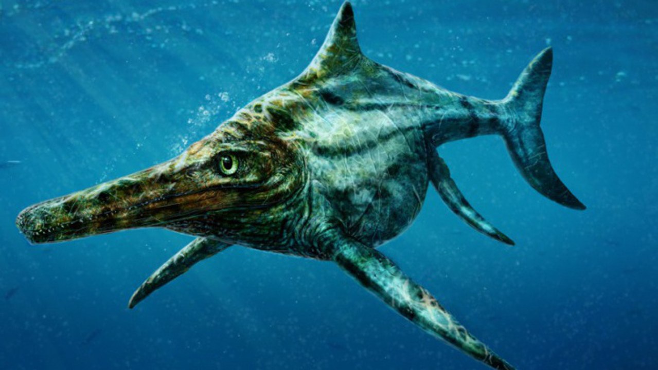 Un effrayant reptile marin enfin découvert en Écosse, mais ce n'est pas Nessie