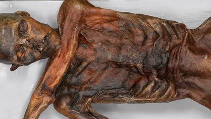 Ötzi, l'homme des glaces dévoile un nouveau secret aux scientifiques