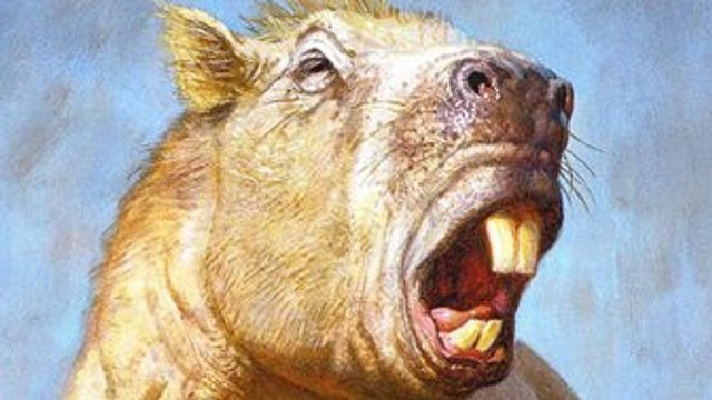 Ratzilla, un rongeur préhistorique géant aux mâchoires surpuissantes