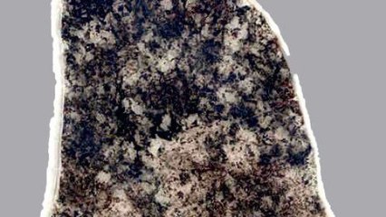 Cette bactérie n'a pas évolué depuis plus de 2 milliards d’années