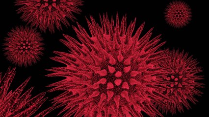 SIDA : un traitement anti-VIH prometteur pourrait ouvrir la voie vers un vaccin