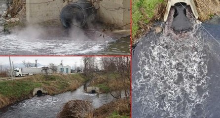 Derelerden zehir akıyor: Müsilaj tehdidi kapıda!