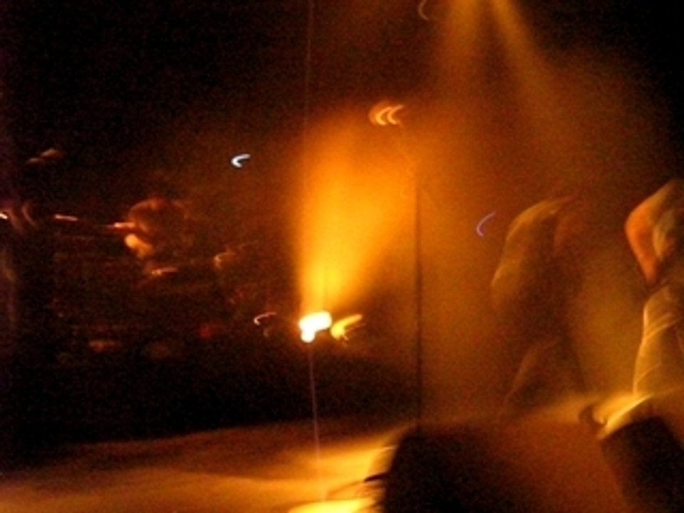 05.03.08 - BB Brunes au Cargo