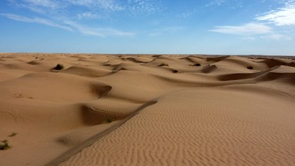 Comment la poussière du Sahara fertilise chaque année les forêts de l'Amazonie