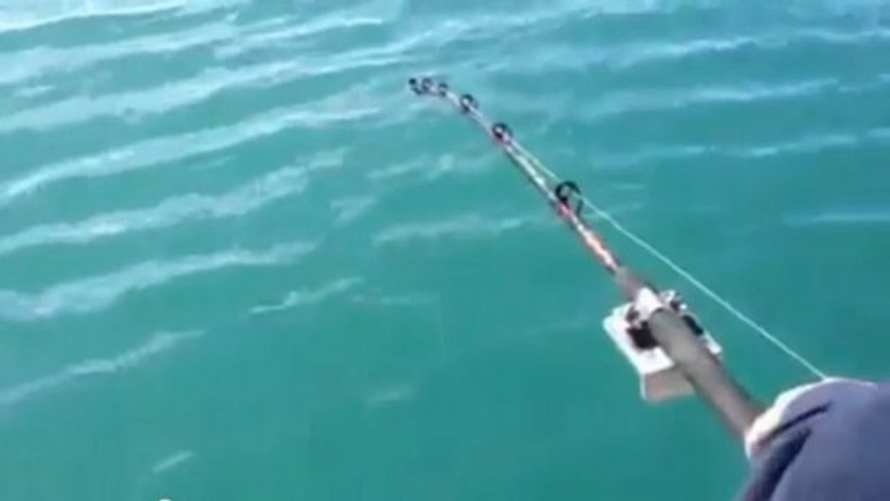 Angler gelingt außergewöhnlicher Fang