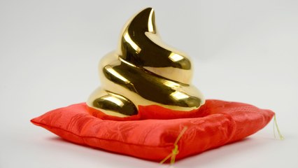 Excréments et eaux usées, ces déchets qui pourraient valoir de l'or