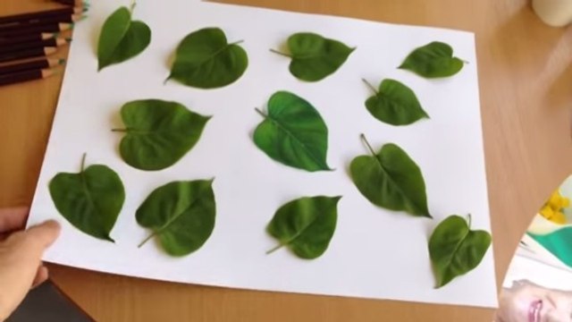 Une seule de ces feuilles n'est pas réelle. Laquelle ?