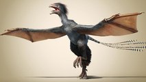 Un étrange dinosaure aux ailes de chauves-souris découvert en Chine