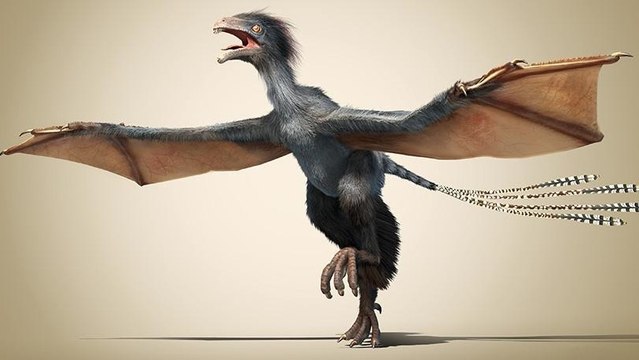 Un étrange dinosaure aux ailes de chauves-souris découvert en Chine