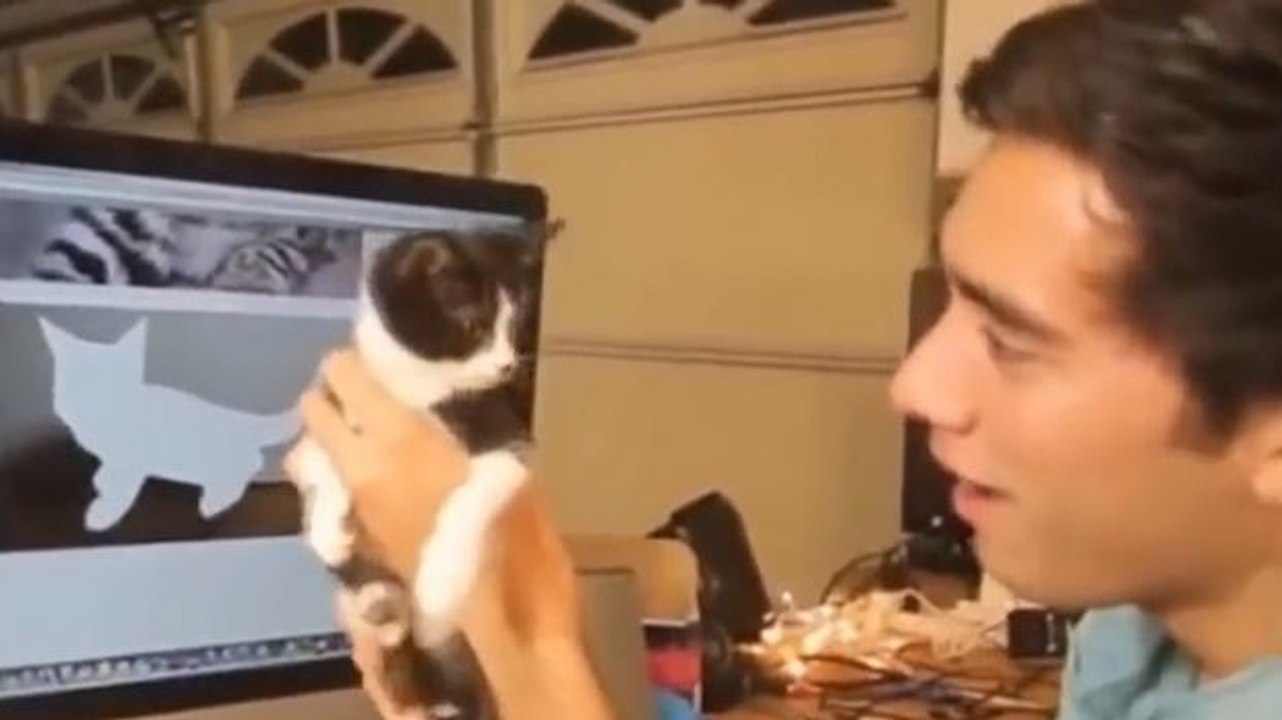 Die besten Zaubertricks von Zach King in einem unglaublichen Vine Überblick