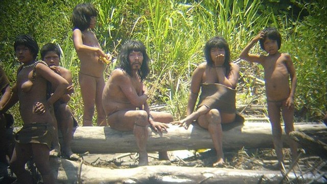 Les Mashco-Piro, une tribu indienne menacée par les contacts clandestins et l'exploitation de l'Amazonie
