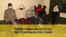 Suspect in Machakos cattle theft case jailed for 5 years