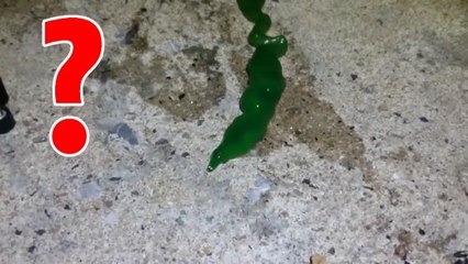 Une mystérieuse créature filmée par un pêcheur taïwanais