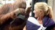 L'extraordinaire réaction d'un orang-outan face à une femme et son bébé