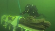 Un mystérieux monstre vieux de 500 ans remonté des profondeurs de la mer Baltique