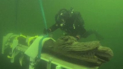 Un mystérieux monstre vieux de 500 ans remonté des profondeurs de la mer Baltique