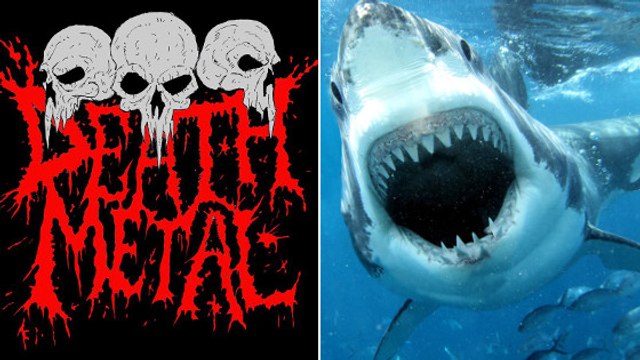 Les requins seraient-ils fans de death metal ?