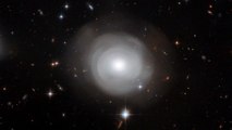 Une incroyable galaxie en forme de fleur photographiée par le télescope Hubble