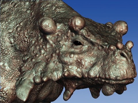 Bunostegos, l'étrange animal qui pourrait être le premier à avoir marché à quatre pattes sur Terre