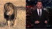 Le poignant discours de l'animateur Jimmy Kimmel après la mort du lion Cecil