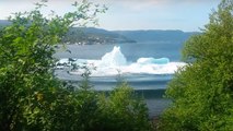 Un immense iceberg se brise à quelques mètres d'un rivage au Canada