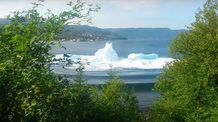 Un immense iceberg se brise à quelques mètres d'un rivage au Canada
