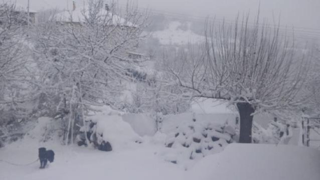 Kar yağışı Balkanlar üzerinden yurda giriş yaptı! Edirne ve Kırklareli beyaz örtüyle kaplandı