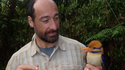 Après 20 ans de recherches, un scientifique découvre un oiseau "insaisissable" et le tue