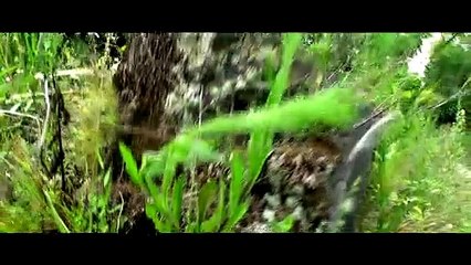 OPENING PESANGGRAHAN PRACIMOHARJO || KRATON SURAKARTA KE DUA