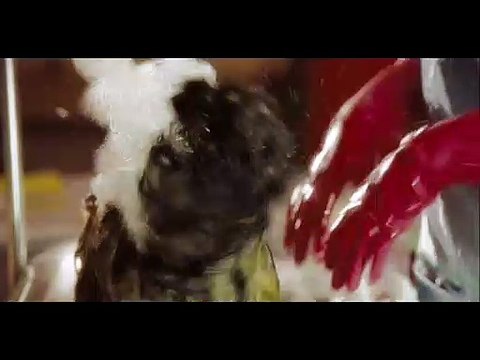 Köpek Oteli Orijinal Fragman