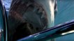 Des plongeurs vivent un tête-à-tête effrayant avec des grands requins blancs