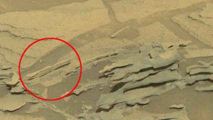 Curiosity a-t-il vu une cuillère volante à la surface de Mars ?