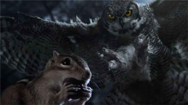 Mini-Héros , les aventures géantes des petits animaux arrivent à la Géode