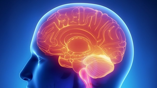 Des paralysés parviennent à contrôler le curseur d'un ordinateur uniquement par la pensée