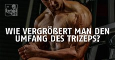 Bester Tipp für einen großen Trizeps